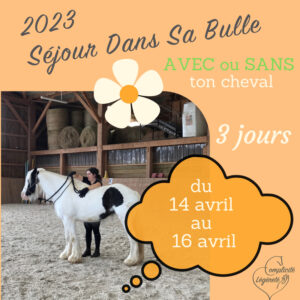 Séjour Dans Sa Bulle - AVEC ou SANS ton cheval - du 14 au 16 avril 2023